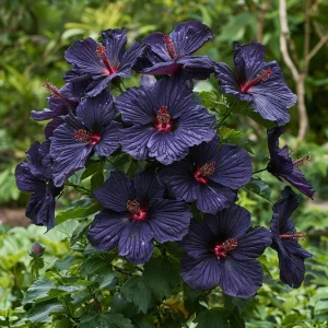 Гибискус Мэджик Момент купить по цене от 699р. в интернет-магазине «Посадика» с доставкой почтой в в Ясныйе и по всей России – [изображение №1].